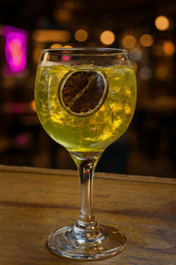 Gin tônica maracujá